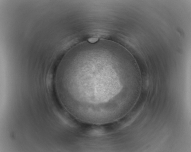 X0000114020263200910091420