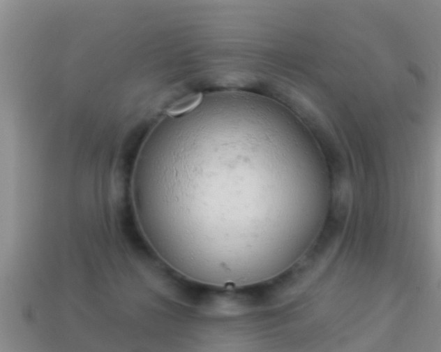 X0000114020268200910091420