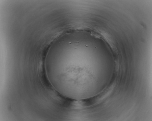 X0000114020269200910091420