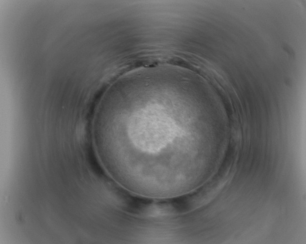 X0000114020270200910091420