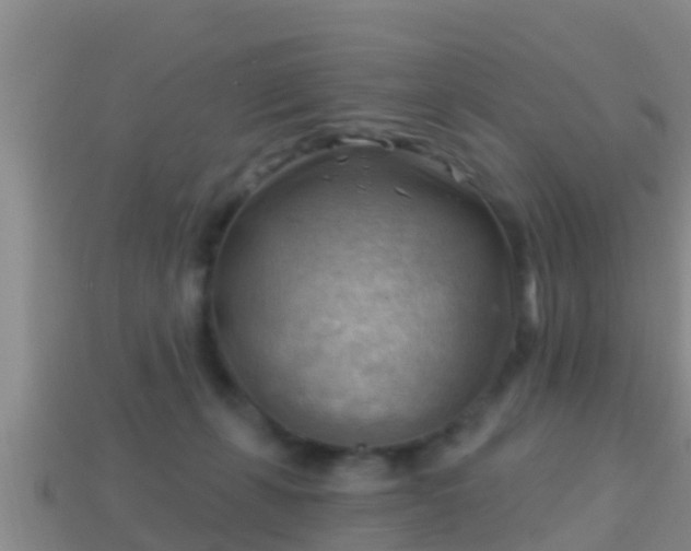 X0000114020271200910091420