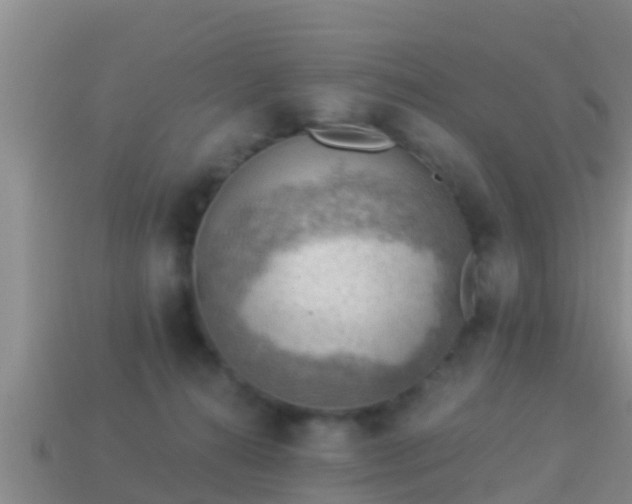 X0000114020272200910091420