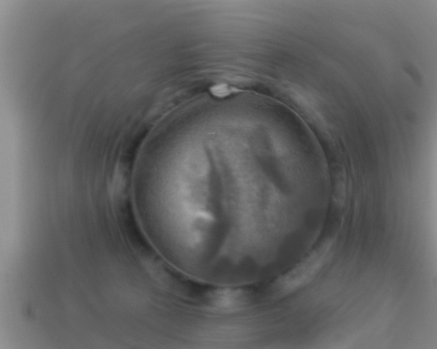 X0000114020273200910091420