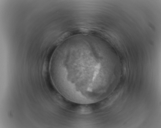 X0000114020275200910091420