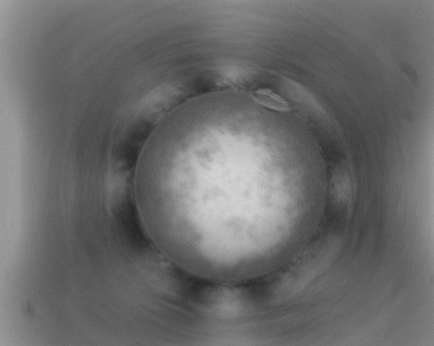 X0000114020276200910091420