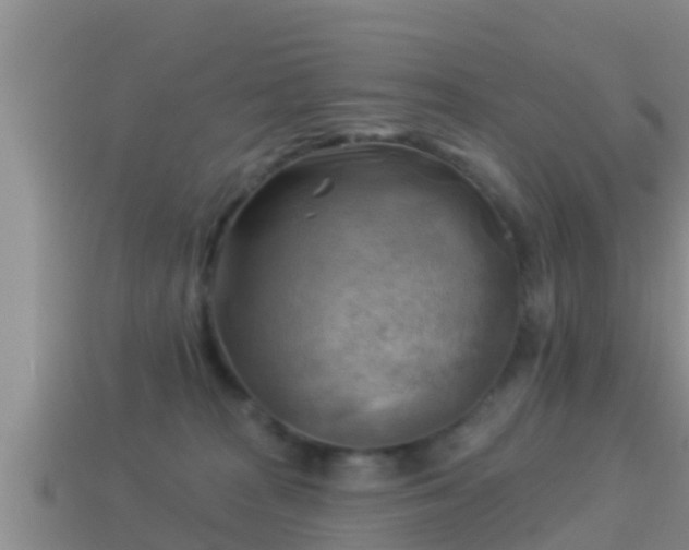 X0000114020277200910091420