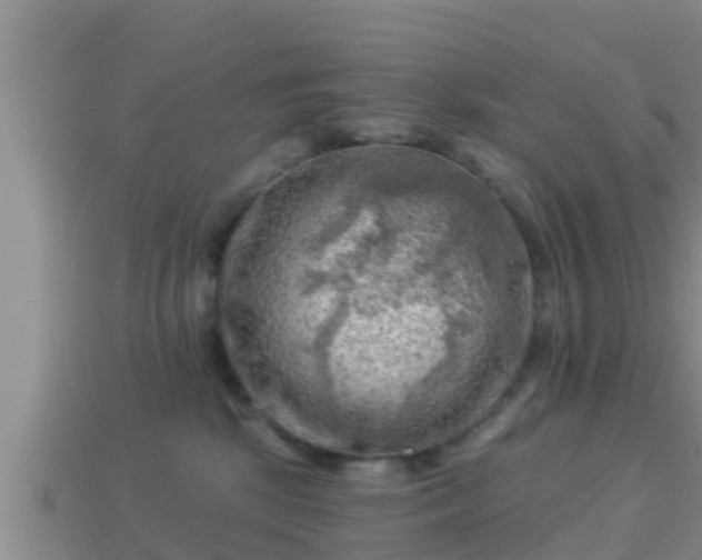 X0000114020281200910091420