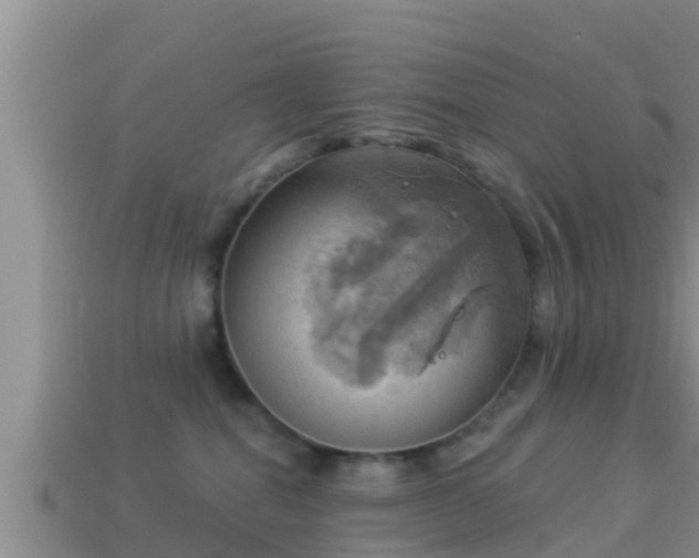 X0000114020282200910091420