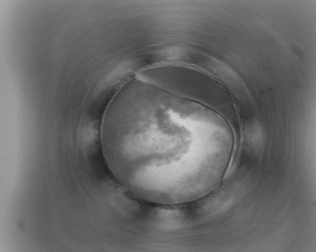 X0000114020284200910091420