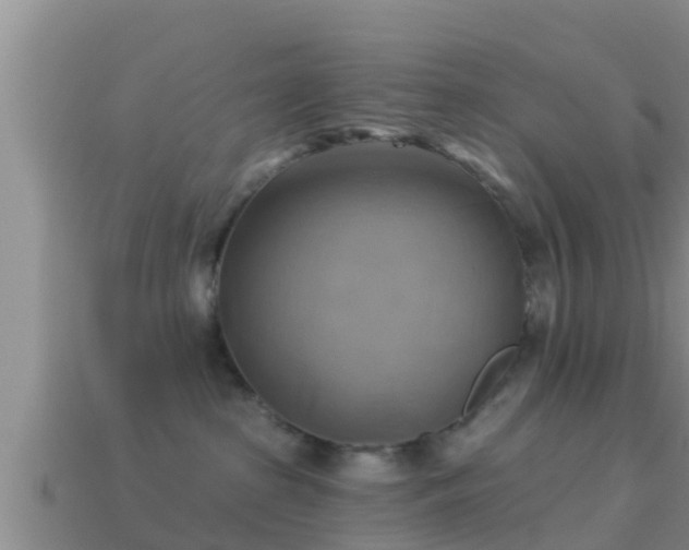 X0000114020285200910091420