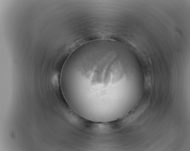 X0000114020286200910091420