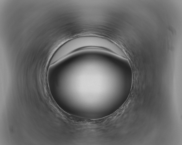 X0000114020289200910091419