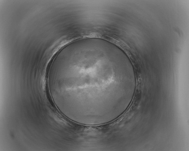 X0000114020290200910091419