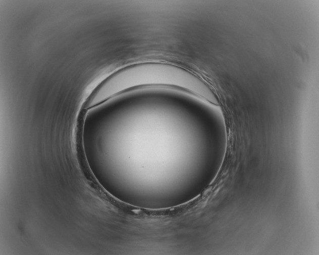 X0000114020292200910091419