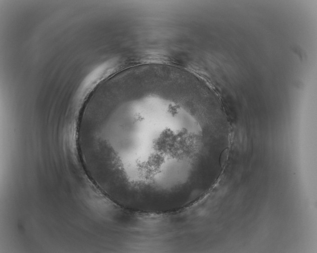 X0000114020293200910091419