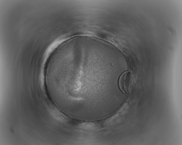 X0000114020294200910091419