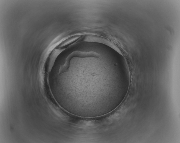 X0000114020295200910091419