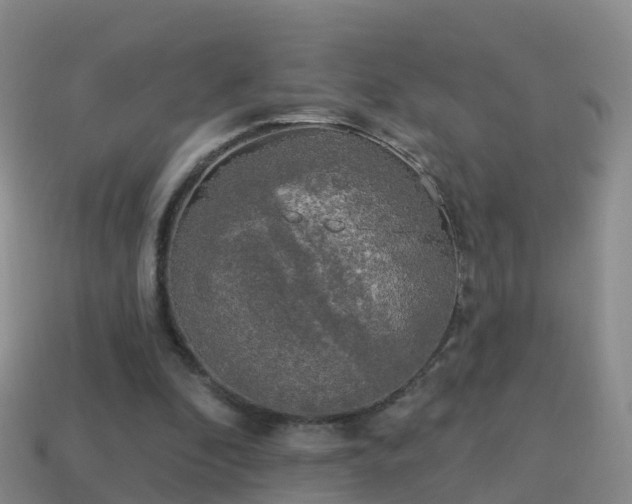 X0000114020296200910091419