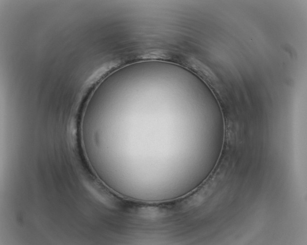 X0000114020298200910091419