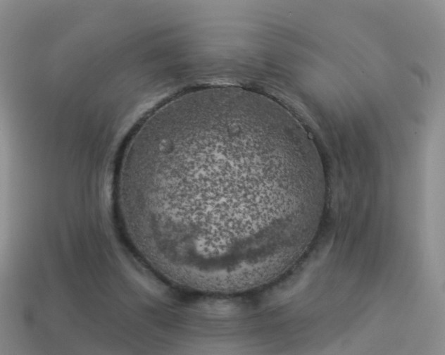 X0000114020299200910091419