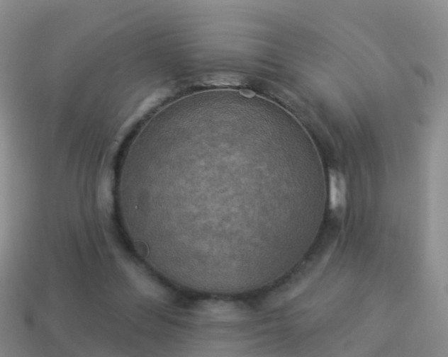 X0000114020300200910091419