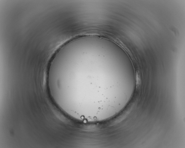 X0000114020301200910091419