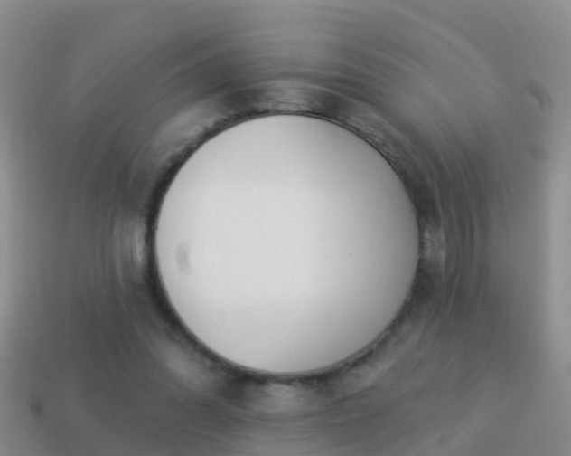 X0000114020302200910091419