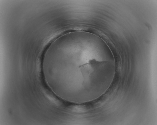 X0000114020303200910091419