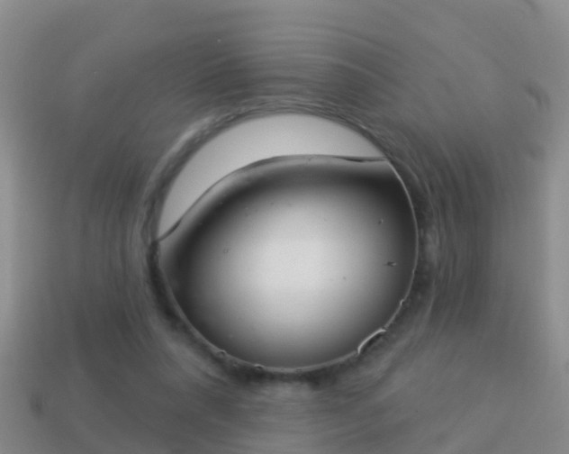 X0000114020304200910091419