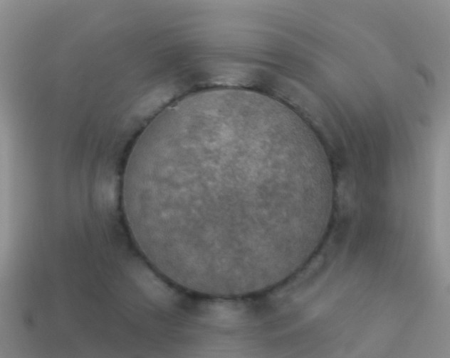 X0000114020305200910091419