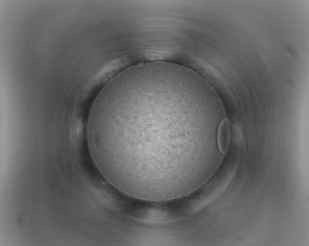 X0000114020308200910091419