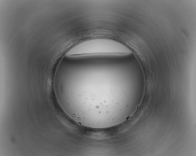 X0000114020309200910091419