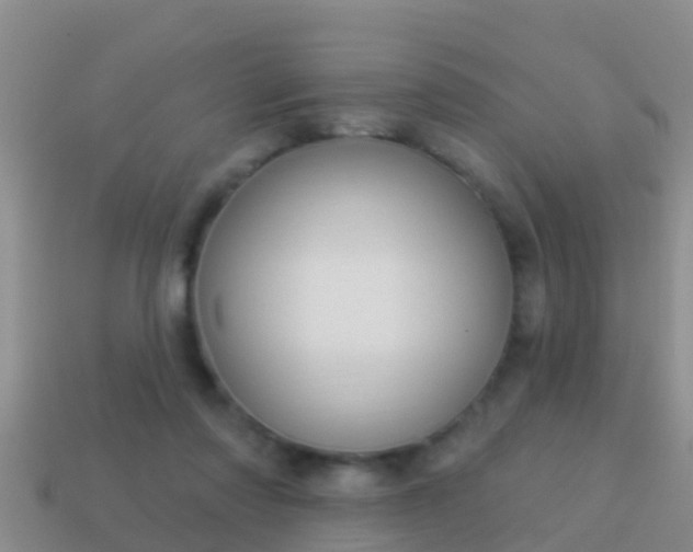 X0000114020310200910091419