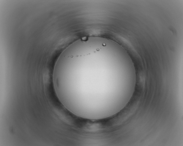 X0000114020311200910091419