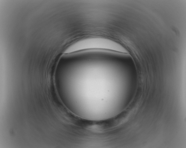 X0000114020312200910091419