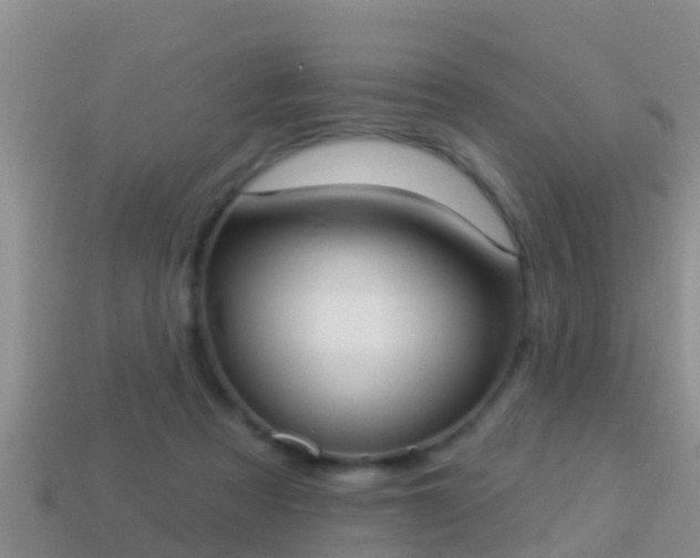 X0000114020313200910091419