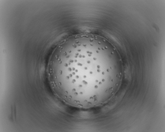 X0000114020314200910091419