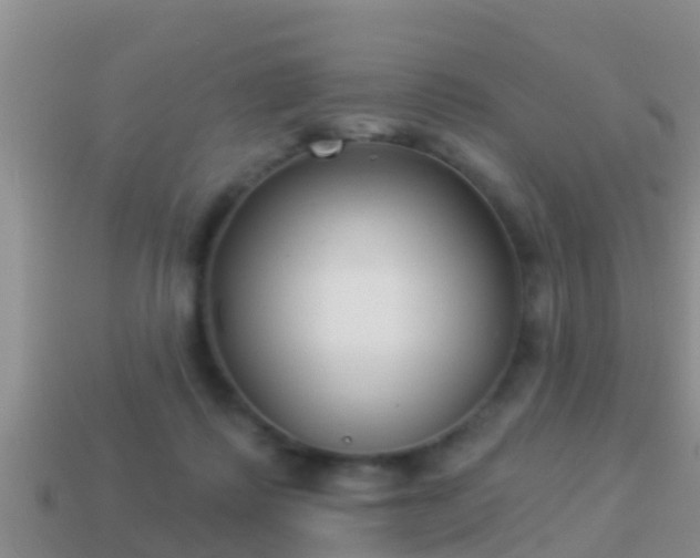 X0000114020315200910091419