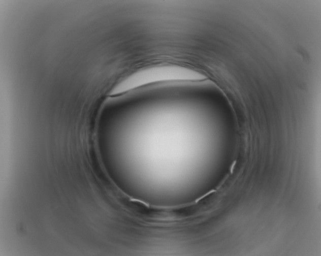 X0000114020316200910091419