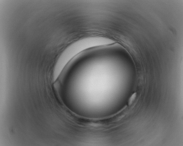 X0000114020317200910091419