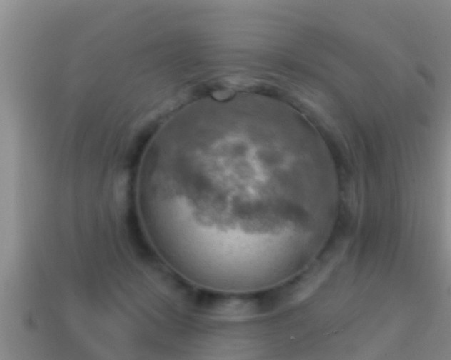 X0000114020319200910091419