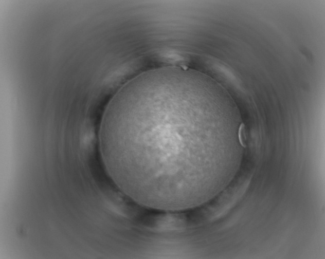 X0000114020320200910091419