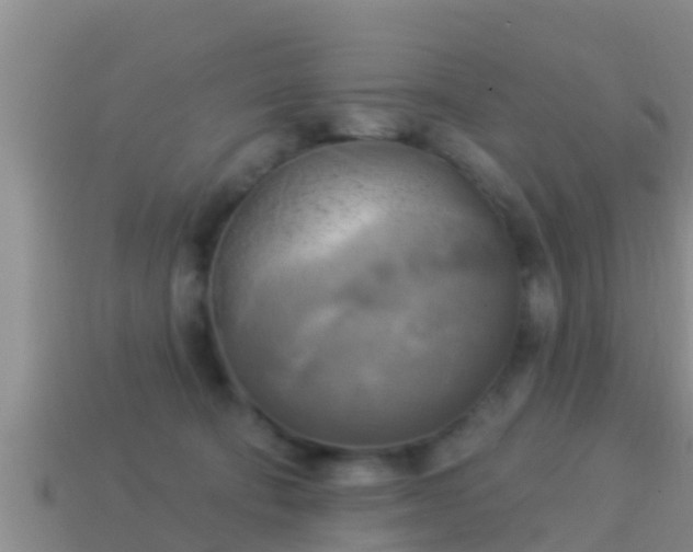 X0000114020322200910091419