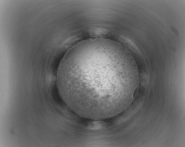 X0000114020324200910091419