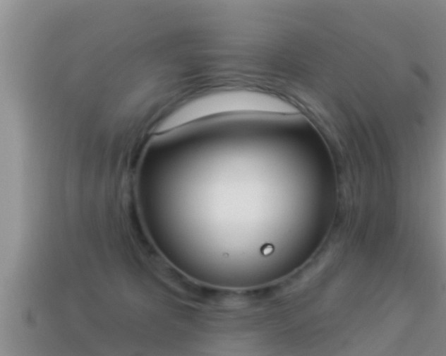 X0000114020325200910091419