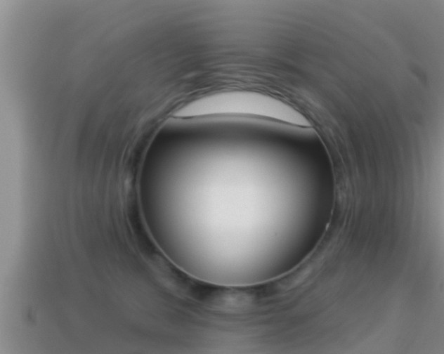 X0000114020327200910091419