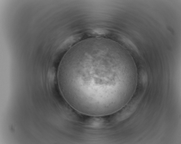 X0000114020328200910091419