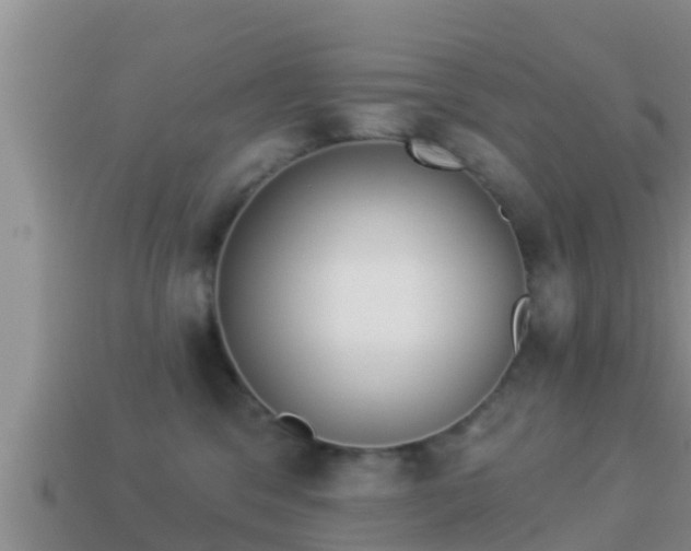 X0000114020329200910091419