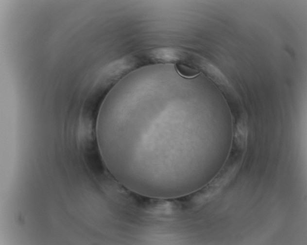 X0000114020330200910091419