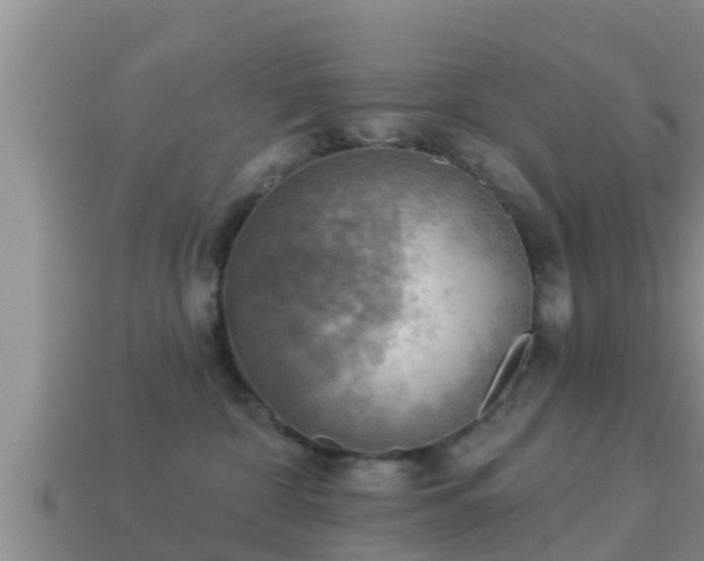 X0000114020332200910091419